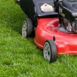 Garden Maintenance in Dubai